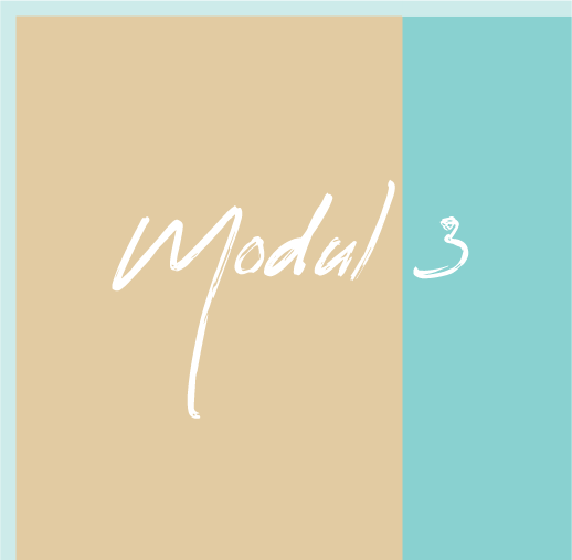 modul-3